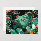 Cactus Briefkaart (Voorkant / Achterkant)