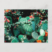 Cactus Briefkaart (Voorkant)