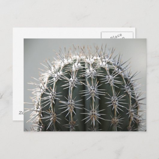 Cactus Briefkaart (Voorkant / Achterkant)