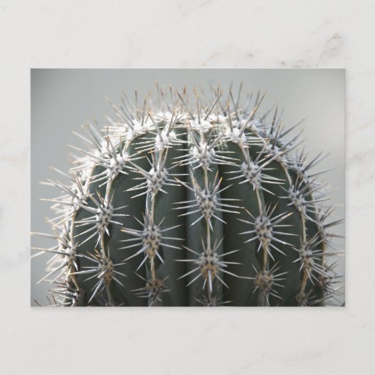 Cactus Briefkaart (Voorkant)