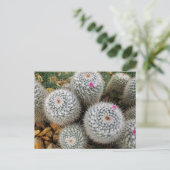 Cactus Briefkaart (Staand voorkant)