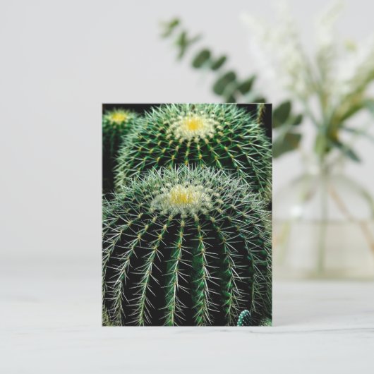 Cactus Briefkaart (Staand voorkant)