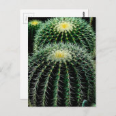 Cactus Briefkaart (Voorkant / Achterkant)