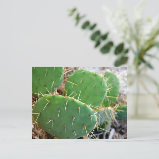 Cactus Briefkaart (Staand voorkant)
