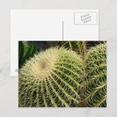 Cactus Briefkaart (Voorkant / Achterkant)