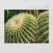 Cactus Briefkaart (Voorkant)