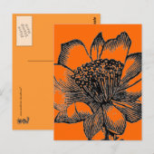Cactus Briefkaart (Voorkant / Achterkant)