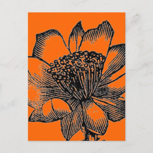 Cactus Briefkaart (Voorkant)