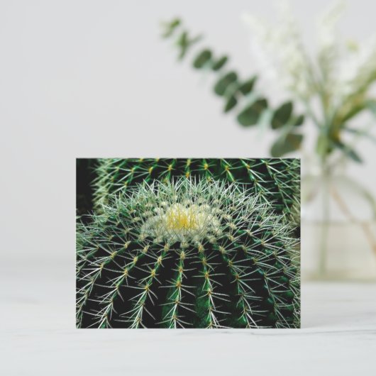 Cactus Briefkaart (Staand voorkant)