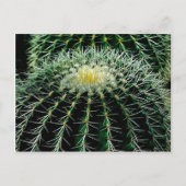 Cactus Briefkaart (Voorkant)