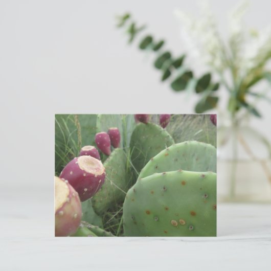 Cactus Briefkaart (Staand voorkant)