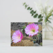 Cactus:Briefkaart Briefkaart (Staand voorkant)