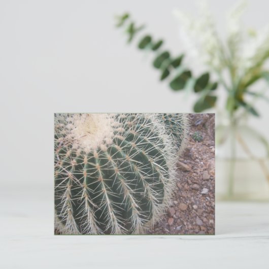 Cactus Briefkaarten (Staand voorkant)