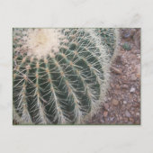 Cactus Briefkaarten (Voorkant)