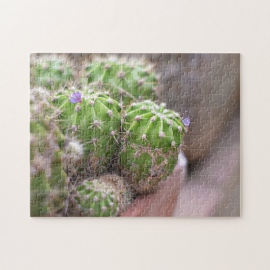 Cactus Cacti Flower Natuur Legpuzzel (Horizontaal)