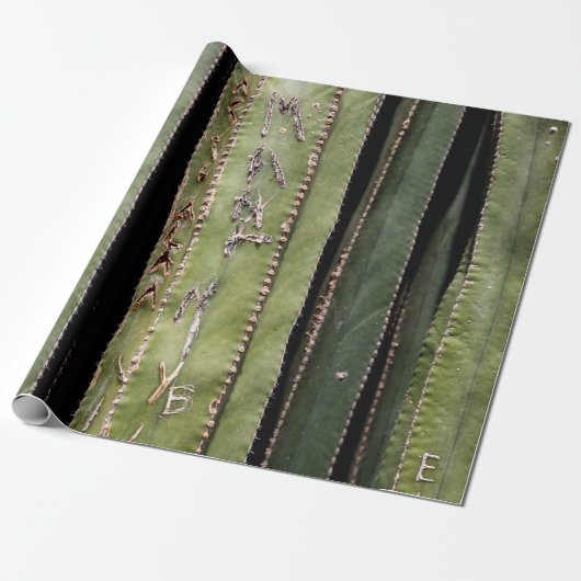 Cactus Cadeaupapier (Uitgerold)