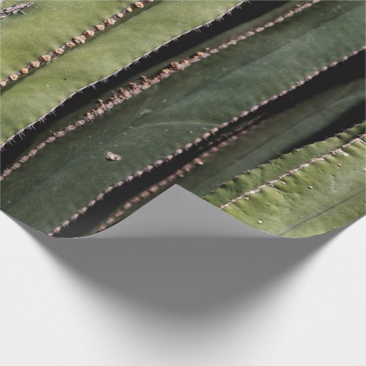 Cactus Cadeaupapier (Hoek)