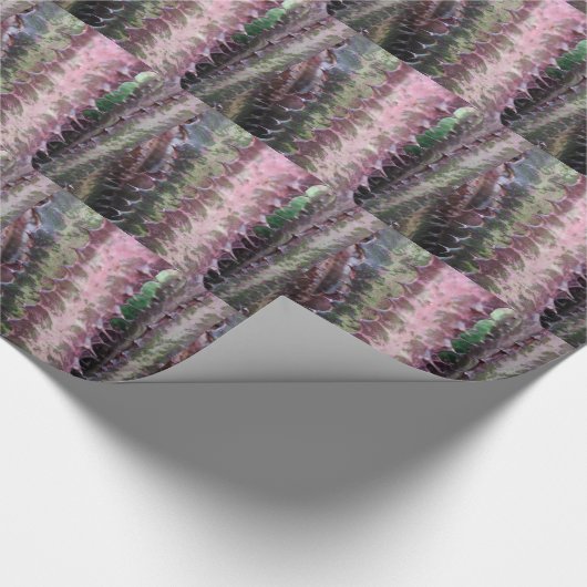 Cactus Cadeaupapier (Hoek)