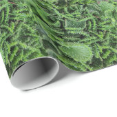Cactus Cadeaupapier (Rol Hoek)