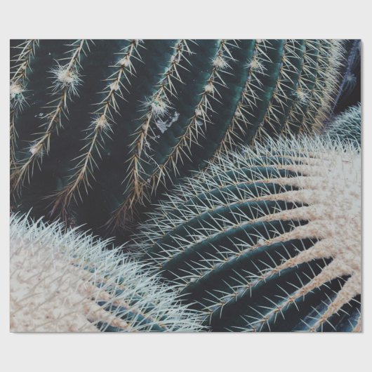 Cactus Cadeaupapier (Vlak)
