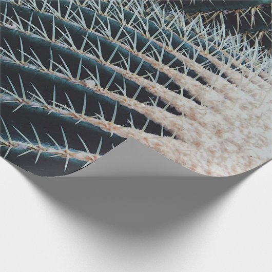 Cactus Cadeaupapier (Hoek)