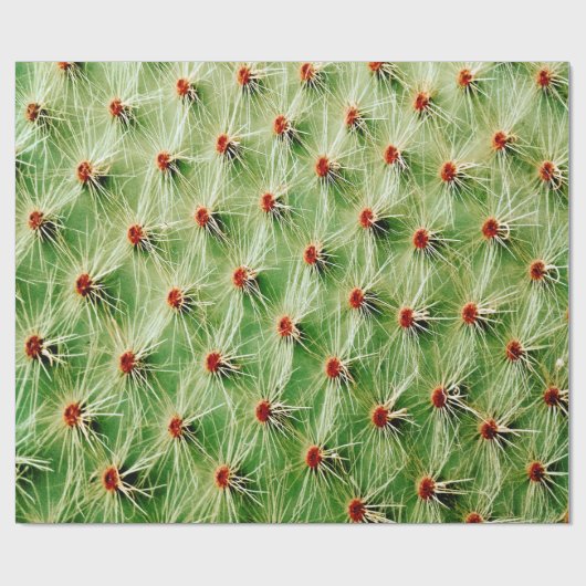 Cactus Cadeaupapier (Vlak)
