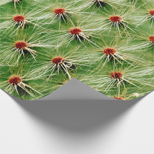 Cactus Cadeaupapier (Hoek)