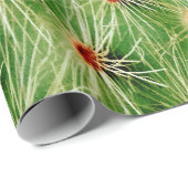 Cactus Cadeaupapier (Rol Hoek)