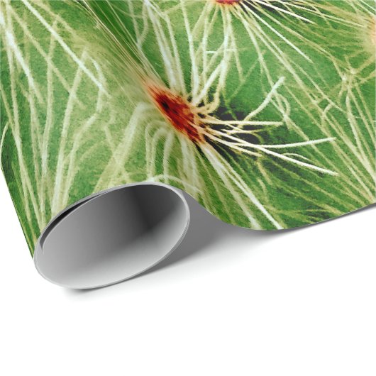 Cactus Cadeaupapier (Rol Hoek)