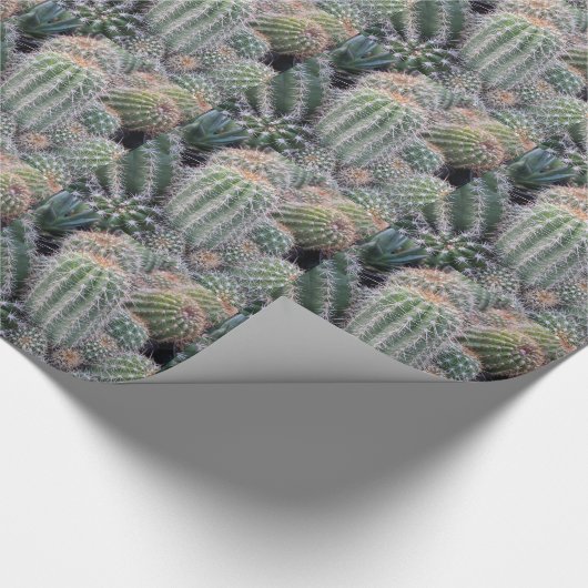 Cactus Cadeaupapier (Hoek)
