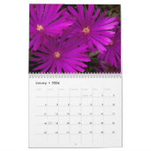 Cactus Calendar Kalender (Jan 2026)