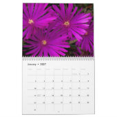 Cactus Calendar Kalender (Jan 2027)