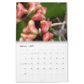 Cactus Calendar Kalender (Feb 2027)