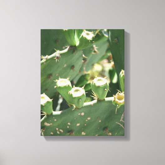Cactus Canvas Afdruk (Voorkant)