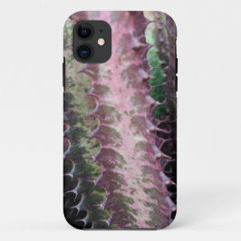 Cactus iPhone 11 Hoesje