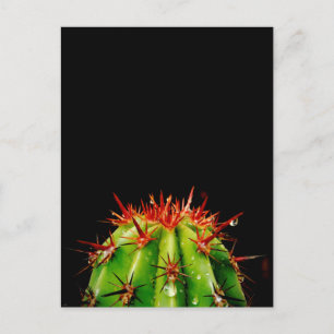 Cactus Ceramic Briefkaart
