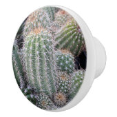 Cactus Ceramic Pull Keramische Knop (Rechts)