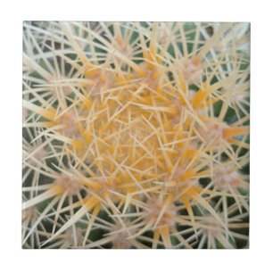 Cactus Ceramic Tegel Tegeltje