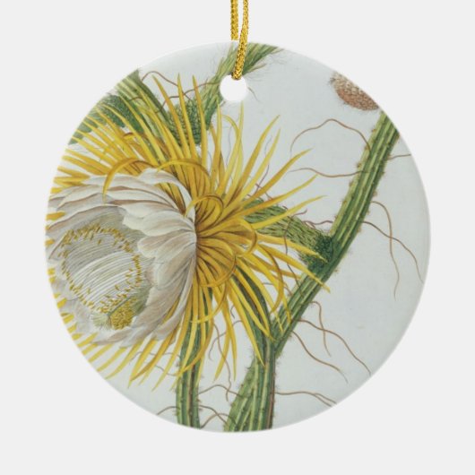 Cactus: Cereus, van Trew's 'Plantae Selectae' 175 Keramisch Ornament (Voorkant)