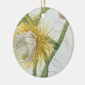 Cactus: Cereus, van Trew's 'Plantae Selectae' 175 Keramisch Ornament (Links)