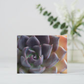 Cactus close-up briefkaart (Staand voorkant)