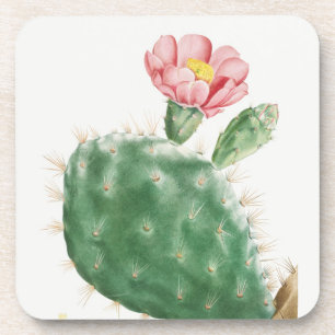 Cactus Cochenillifer, Antieke Illustratie, 1799 Bier Onderzetter