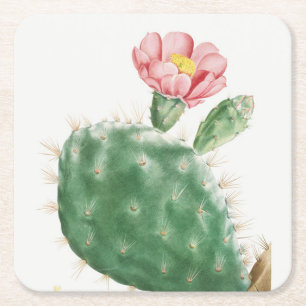 Cactus Cochenillifer, Antieke Illustratie, 1799 Kartonnen Onderzetters