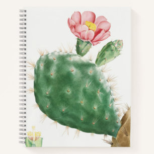 Cactus Cochenillifer, Antieke Illustratie, 1799 Notitieboek