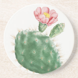 Cactus Cochenillifer, Antieke Illustratie, 1799 Zandsteen Onderzetter