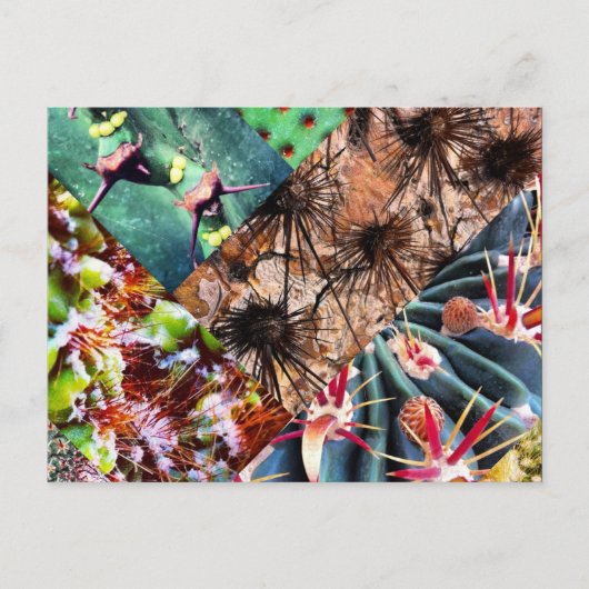 Cactus Collage Briefkaart (Voorkant)