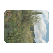 Cactus Coloring Decorative Desert Magnet Magneet (Horizontaal)