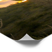 Cactus dagen poster (Hoek)