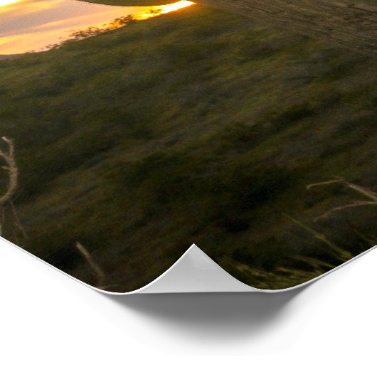 Cactus dagen poster (Hoek)