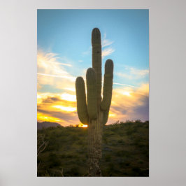 Cactus dagen poster